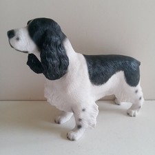 English cocker spaniel for sale  ROSSENDALE