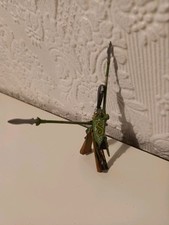 Rare warhammer wood for sale  CARLISLE