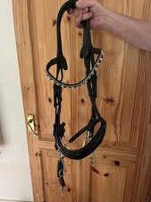 Double bridle evoequine for sale  OXFORD