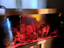Juwel rio aquarium gebraucht kaufen  Berlin