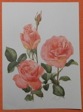 Tiffany rose ffset gebraucht kaufen  Lauenburg/ Elbe