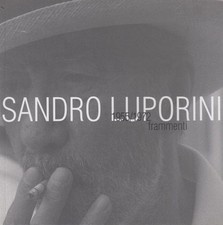Arte sandro luporini usato  Sansepolcro