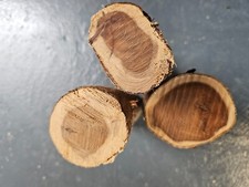 Three yew branches for sale  KETTERING