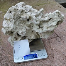 Saltwater live rock for sale  PLYMOUTH