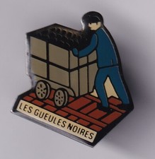 Rare pins pin d'occasion  Ménéac