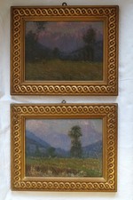 Coppia quadri olio usato  Cuneo