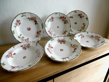Assiettes creuses faience d'occasion  Saint-Cyr-en-Val