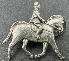 Show pony rider for sale  Florence