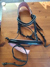 Hübsche glitzernde pony gebraucht kaufen  Löbau