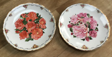 queen mother plate roses for sale  WORKSOP
