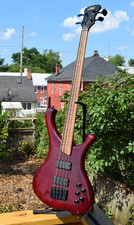 Washburn neck string for sale  Funkstown