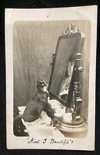 Vintage rppc cat for sale  Trumbull