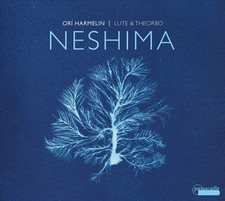 Neshima lute theorbo usato  Spedire a Italy