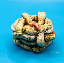 Harmony kingdom tied for sale  PENZANCE