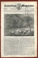 The saturday magazine usato  Vanzaghello