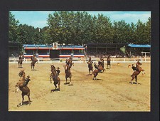 Saumur equitation fete d'occasion  Baugy