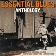 A.a.v.v. essential blues usato  Cerea