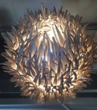 sea urchin lamp for sale sea urchin lamp for sale Henderson