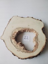 Int22 deko baumscheibe gebraucht kaufen  Meiningen