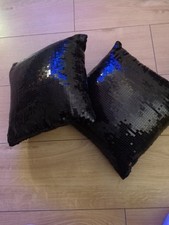 Two lovely black for sale  BIDEFORD