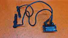 Bobine bmw 1200 usato  Cerignola