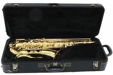 Saxofone Tenor YANAGISAWA T-WO1 / Fabricado no Japão comprar usado  Enviando para Brazil
