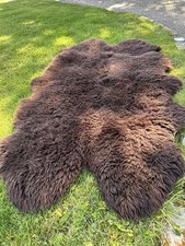 Lovely chocolate brown for sale  RICHMOND