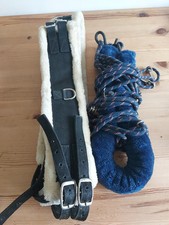 Lunge training system for sale  CARDIFF
