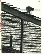 1980 press photo for sale  Memphis