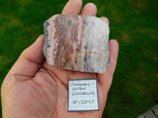 schlottwitz gebraucht kaufen  Limbach-Oberfrohna