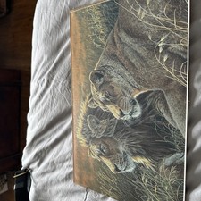 stephen gayford prints for sale stephen gayford prints for sale WORTHING