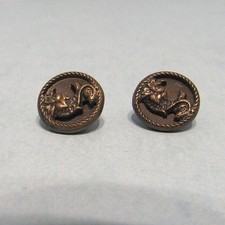 Button picture dolphin for sale  Chandler