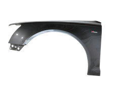 audi a6 4f kotflugel gebraucht kaufen audi a6 4f kotflugel gebraucht kaufen  Linkenheim-Hochstetten