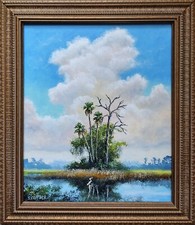 Tropical florida backwater for sale  Thonotosassa