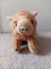 Scottish highland cow for sale  BATH