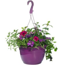 Outdoor purple shades for sale  UK