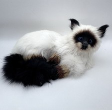 Realistic siamese cat for sale  Buffalo