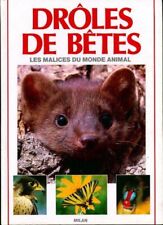 Drôles bêtes patrice d'occasion  Hennebont