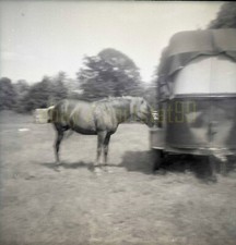 King cristiani circus for sale  Cary