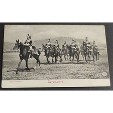 Cartolina corazzieri usato Cartolina corazzieri usato  Alessandria