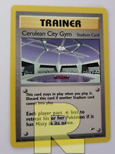 Cerulean city gym usato  Ravenna