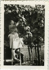 Antique photo vintage d'occasion  Expédié en Belgium