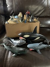 Lot sea life for sale  Dallas