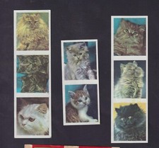 Bn171001 cat match d'occasion  Expédié en Belgium