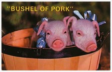Bushel pork two for sale  Arlington