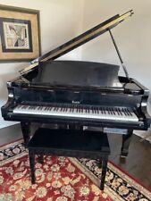 Stunning knabe baby for sale  Monmouth Beach