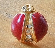 Spilla lebbro distintivo usato  Torino