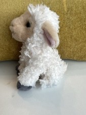 Wilberry favourites lamb for sale  BURY