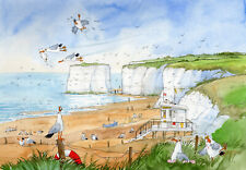 Botany bay gulls for sale  CHATHAM