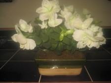 Azaleas ceramic planter for sale  Saint David